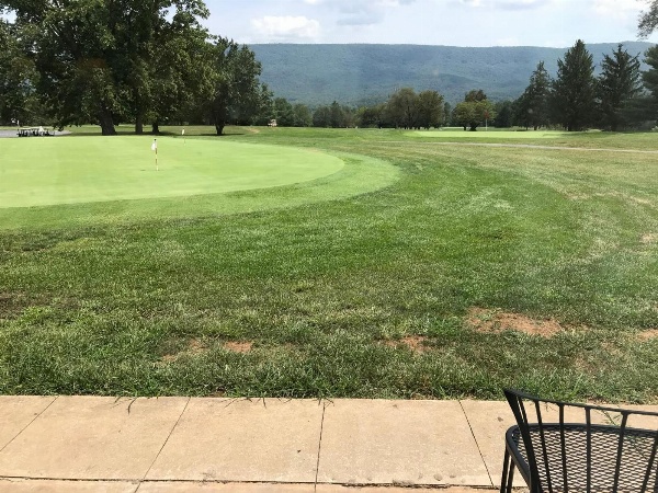 Shenvalee Golf Resort image 5